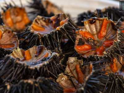 Noi ci imbattiamo in un giovane che offre dei rossi e succulenti ricci appena aperti...